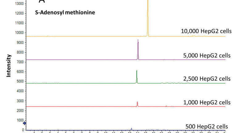 Capillary Electrophoresis-Mass Spectrometry for Micro-Metabolomics